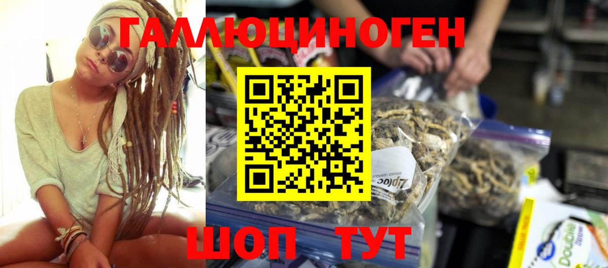 Галлюциногенные грибы прущие грибы Чита