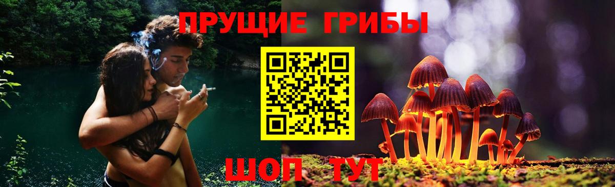 Чита  Псилоцибиновые грибы ЛСД  где купить наркоту  Галлюциногенные грибы MAGIC MUSHROOMS  Вход с VPN 